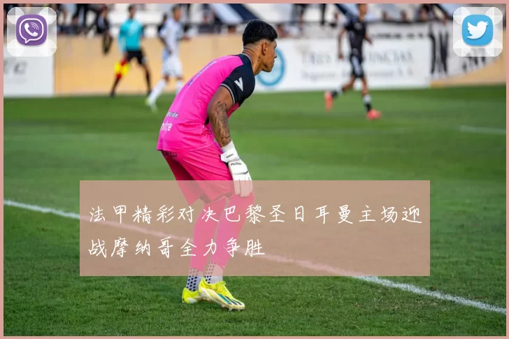 法甲精彩对决巴黎圣日耳曼主场迎战摩纳哥全力争胜
