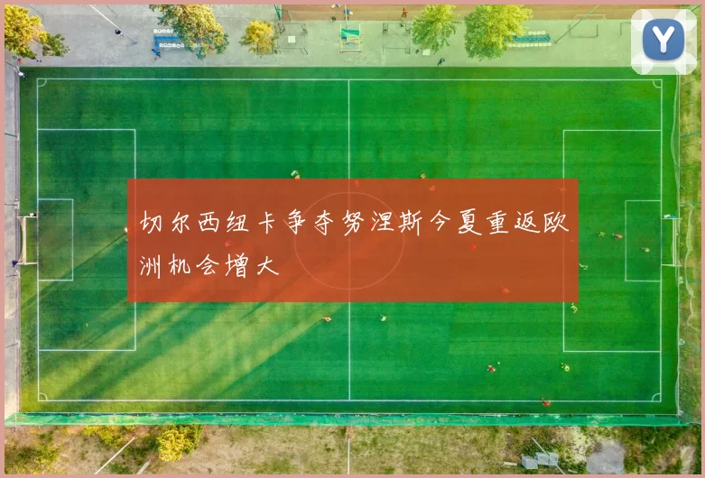 切尔西纽卡争夺努涅斯今夏重返欧洲机会增大